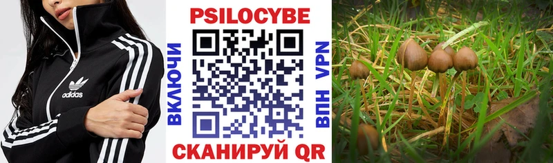 Псилоцибиновые грибы мицелий  Купить где  Тогучин 